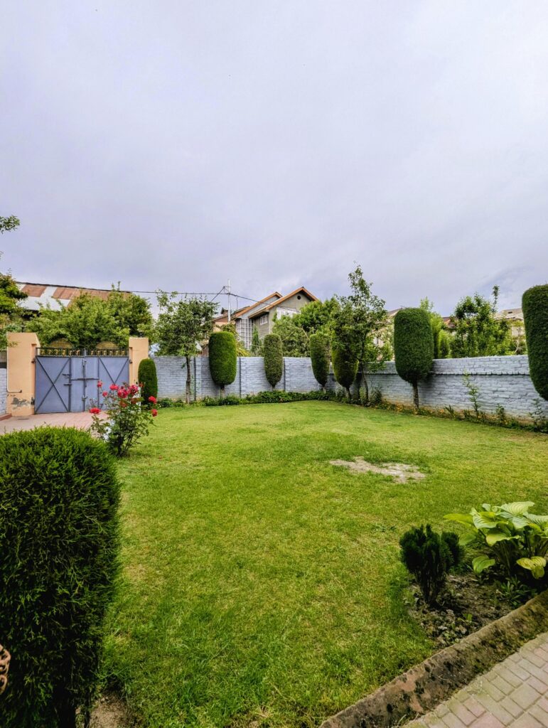 A serene backyard garden with green grass, hedge landscaping, and floral touches.